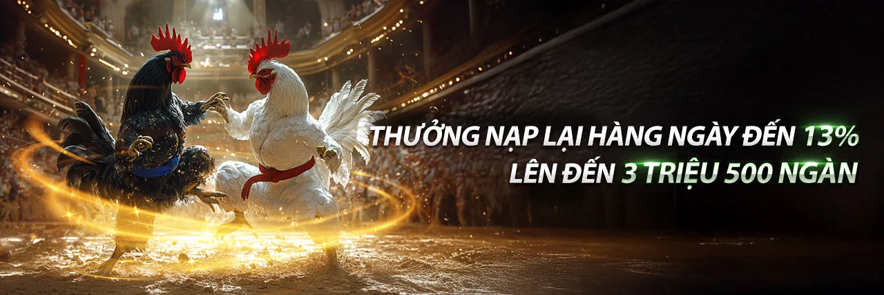 Đá gà trực tuyến kịch tính tại AW8