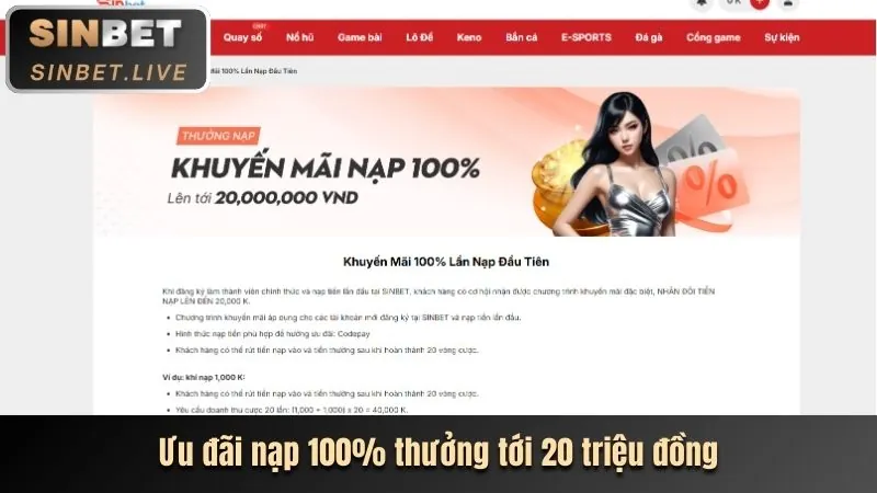 Tổng quan các loại khuyến mãi AW8